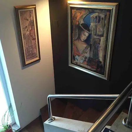 Dinka Vip Apartament *