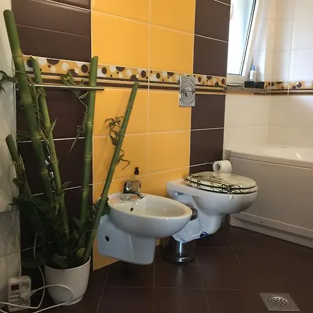 Dinka Vip Apartament *